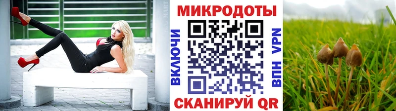 Купить  Кушва  Псилоцибиновые грибы Cubensis 